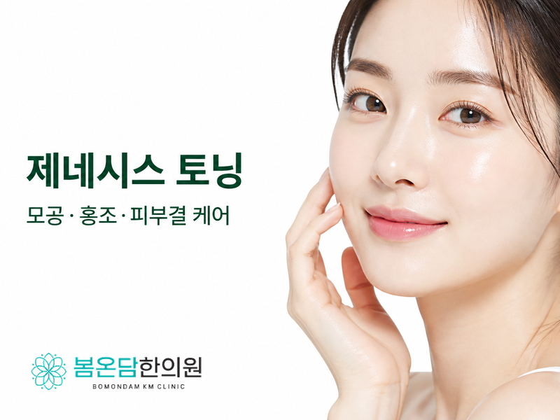 제네시스 토닝